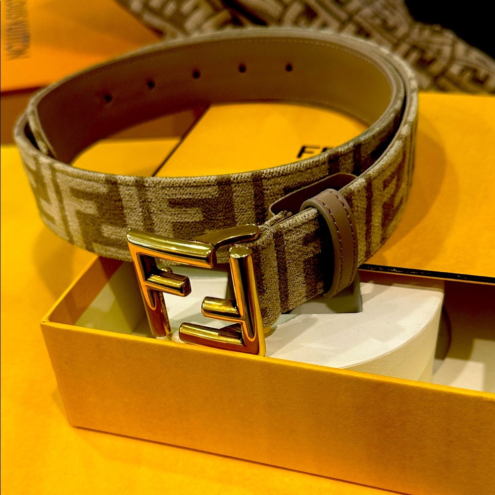 Fendi Brown and Gold women Belt Bag